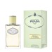 PRADA Infusion de Gingembre 100 ml