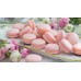Macarons juodo šokolado ir pasiflorų skonio